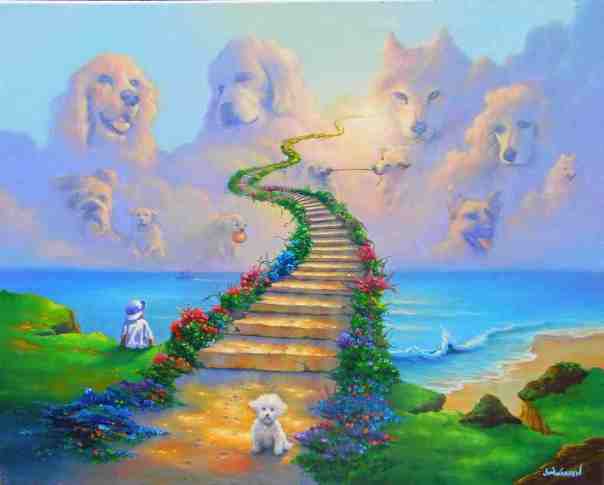 dog-heaven
